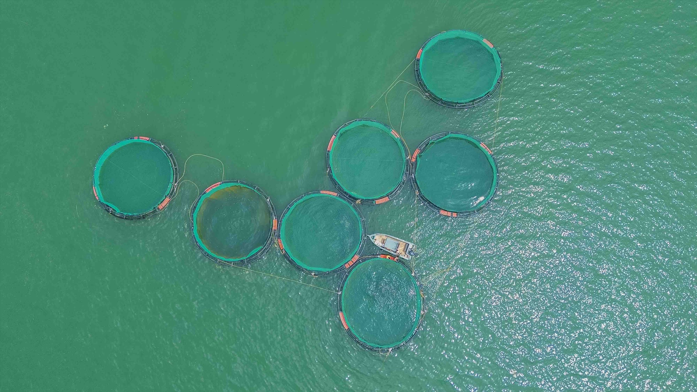 Aquaculture cages on water