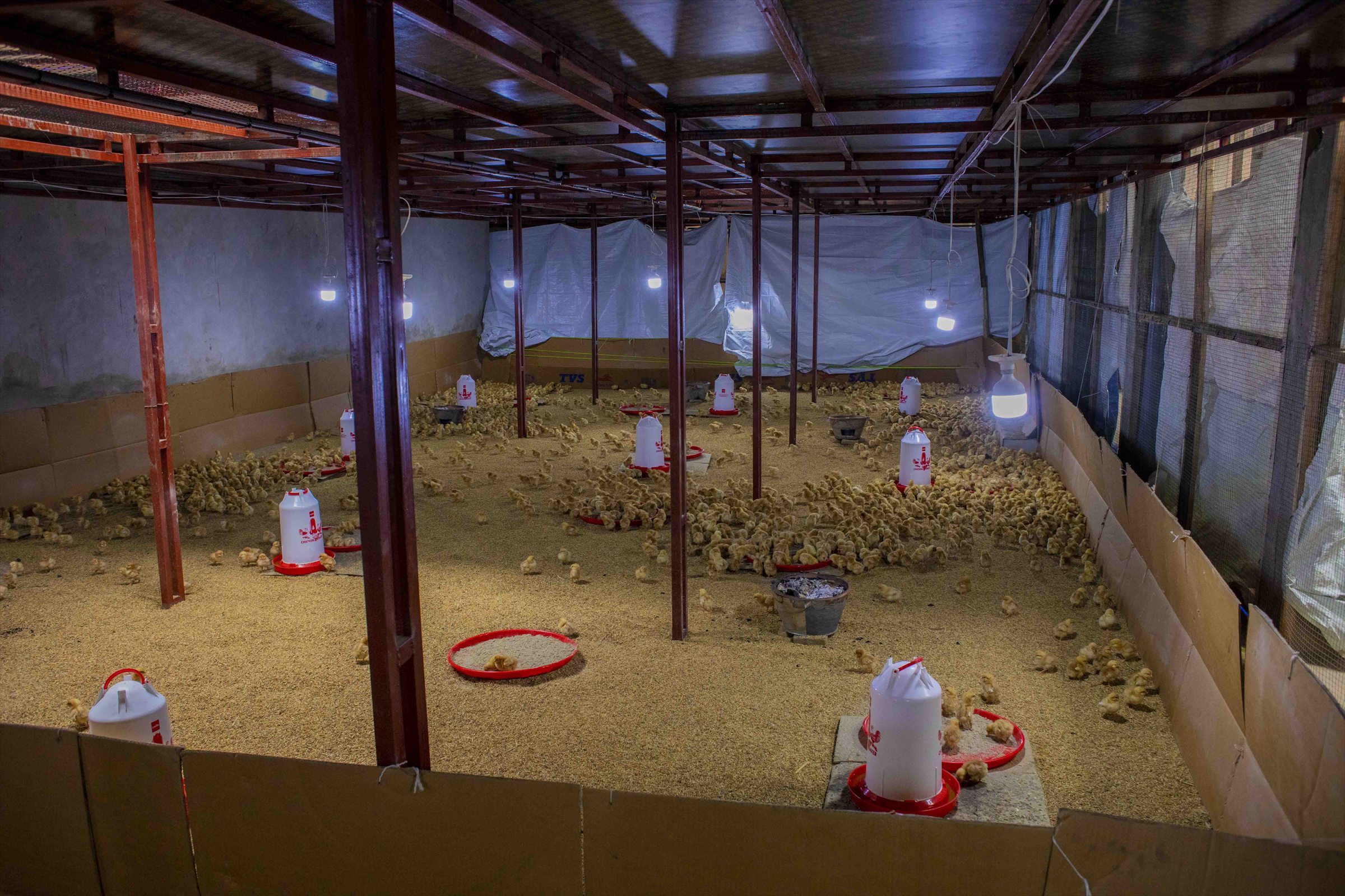 Poultry house